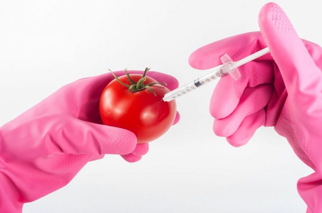 Holding a tomato and injecting it.
